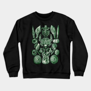 Ernst  Haeckel Cirripedia Crab Green Crewneck Sweatshirt